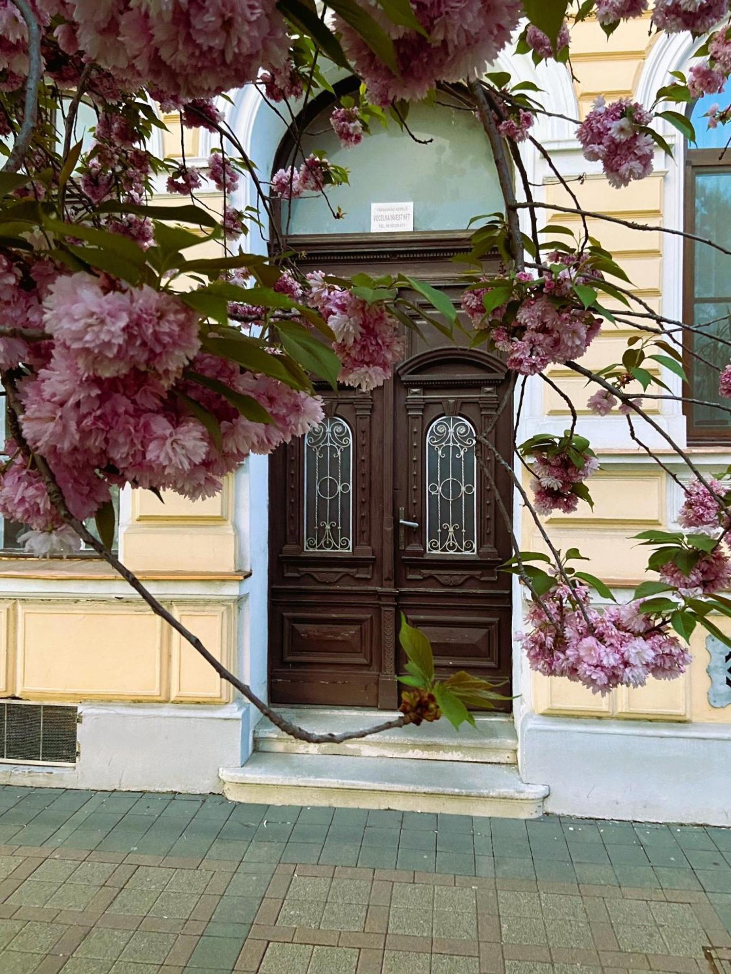 Silentium City Apartman Sárvár Extérieur photo